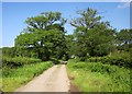 Lane to Hatherleigh in EX21 5LF