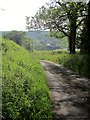 Lane to Bremridge in EX21 5NT
