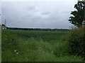 Crop field, Willow Farm in WA8 5RY