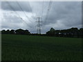 Crop field and power lines in WA8 5RY