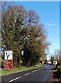 Roadside signs near Pitchcombe in GL6 6ED