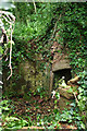 Woodend Cottage ruin in TA4 3QJ