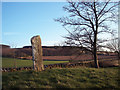 Pictish Symbol Stone in PH13 9JU