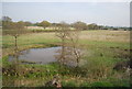Small pond by the railway line in TN27 8PN