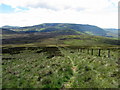 Fence leading south from Hare Law in Kirknewton