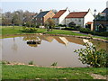 New houses and duckpond, Wynyard village. in TS22 5PX