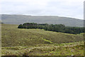 Glenuachdarach forest in IV51 9XA