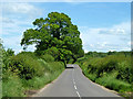 Road from Lasham towards Golden Pot in GU34 5FZ