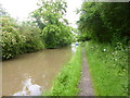 Bedworth, Coventry Canal in CV12 9EB