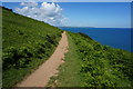 S. West Coast Path in TQ7 2EW