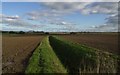 Ditch near Violet hill farm. in DN17 4SE