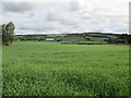 Farmland at Moor of Granary in IV36 2JZ