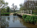 Footbridge over the Frome in DT2 9SG