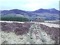 Meall am Daimh and Ben Vrackie from above Strathgarry Farm in PH16 5RN
