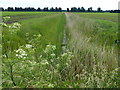 Dike crossing Byall Fen near King's Farm, Welches Dam in PE15 0NF