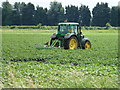 Ridging potatoes on Byall Fen, Welches Dam in PE15 0NF