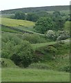 Valley below Lower Fleetgreen in SK17 0LZ