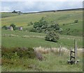 Edge of moorland access land and view to Upper Fleetgreen in SK17 0LZ