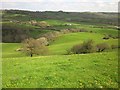 Countryside west of Beaminster in DT8 3PP