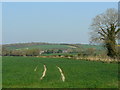 A view towards Freewarren Farm, East Grafton, Wiltshire in SN8 3DN