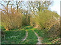 Footpath past Brokenway Copse, Collingbourne Kingston in SN8 3FL