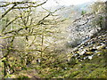 Old quarrymen's path to Hafod-las Quarry in LL24 0BT