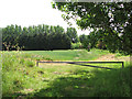 Fields by Woodforde Farm in NR20 3JD
