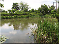 Pond by Woodforde Farm in NR20 3JD