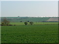 Farmland near East Grafton, Wiltshire in SN8 3US