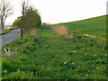 Farmland and Roman road near Tidcombe, Wiltshire in SN8 3NG