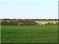 Farmland near Tidcombe, Wiltshire in SN8 3NG