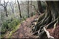 Combes Valley footpath in ST10 2JS