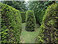 Warmwell: inside the maze at Warmwell House in DT2 8JF