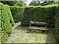 Warmwell: bench in the maze in DT2 8JF