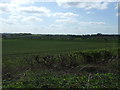 Farmland, Cox Moor in NG17 7QN
