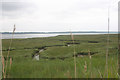 Salt marsh beside River Stour at east end of Erwarton Bay in IP9 1ND