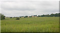 Farmland south of Shotley in IP9 1ND