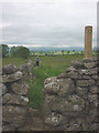 Stile east of Reagill in CA10 3ER