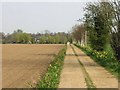 View of farm road from Repps Road in NR29 3BX
