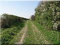 The Icknield Way near Chrishall Grange in SG8 7NT