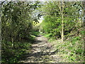 Public footpath in Heydon in SG8 8QA