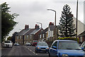 B6096 Hoyland Road and Monkey Puzzle tree in S74 0AP