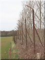 Old Perimeter Fence, Blakemoor Hill in HR2 9AH