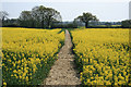 Rape Field New House Lane in TN26 3EF