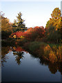 Water Gardens in Harlow Town Park in CM20 3QH