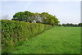 Footpath follows the fence in RH13 8DE