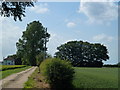 Farm road, Camel Drove near Littleport in CB6 1ES