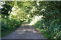 Bridleway leading to Angram Grange in Wildon Grange