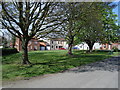 Village Green, Dalton-on-Tees in DL2 2PA