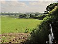 Field near King's Copse in RG17 0TL